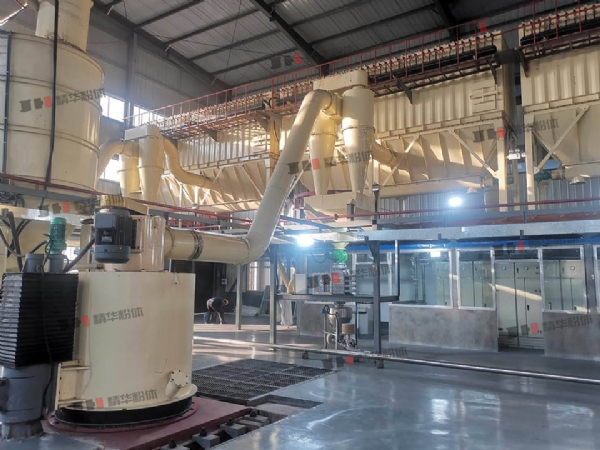 钛白粉华版雷蒙--山东某公司